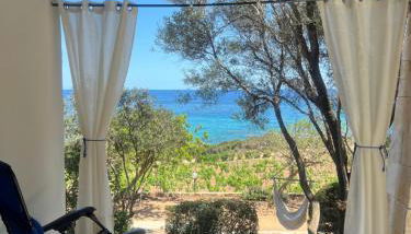 La PAVONCELLA 2 - Foto 2