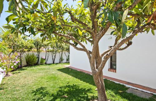 BmyGuest - Sesimbra Country Villa - Foto 12