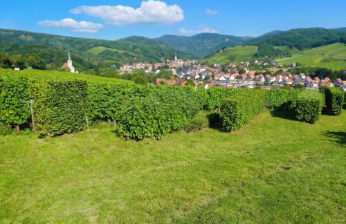 Appartement charmant à Epfig avec vue sur jardin - Foto 19