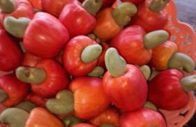 CANTINHO DA ROSA ac - RIO PRIVATIVO - Foto 8