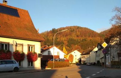 Wehr Orchidee Apartment - Foto 21