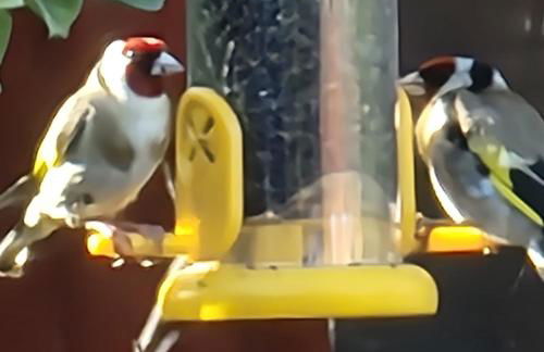 Sunrise Cottage central heated Southview Parkdean SKEGNESS Lincolnshire - Foto 29