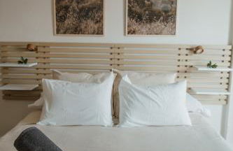 Olivar de Belén - Foto 44