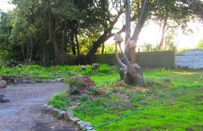 The Old Kitchens - Foto 46