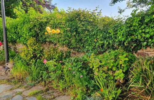 Boots Cottage - Foto 13