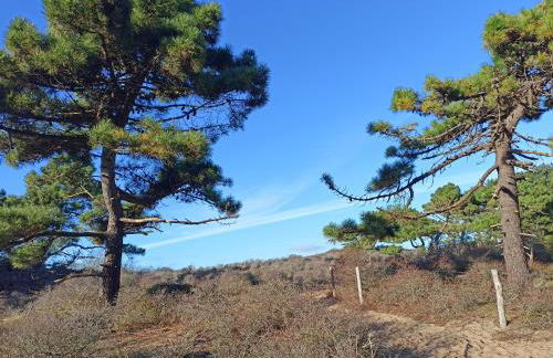 La Maison Des Caps AU BLANCNEZ - Foto 19