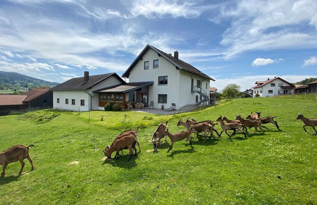 Apartment in Bavaria Near Forest - Foto 34