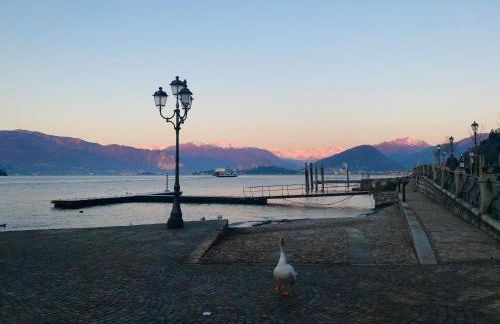 Le Betulle - Foto 66