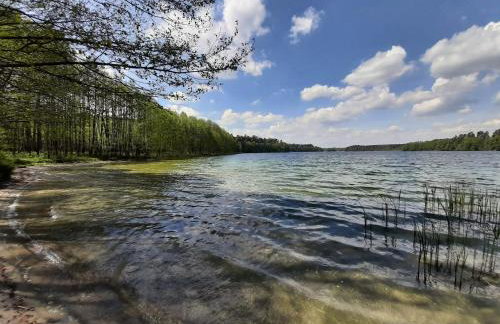 Osada Wejsuny - Foto 59