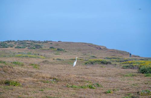 Star of the Sea Oceanfront Escape w Views - Foto 66
