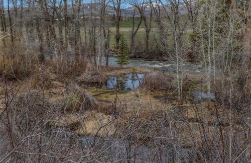 Greenville - Foto 15