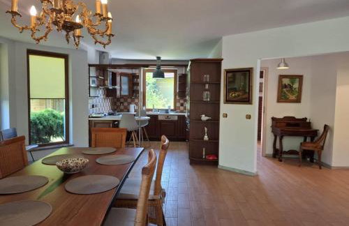 Biały Domek dla 6 osób oraz Domek Sternika dla 4 osób - jezioro, las, wiejski klimat - Foto 42