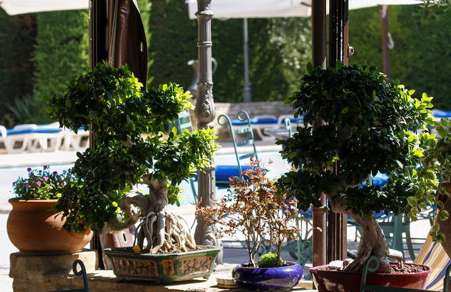 Santa Maria degli Ancillotti - Foto 31