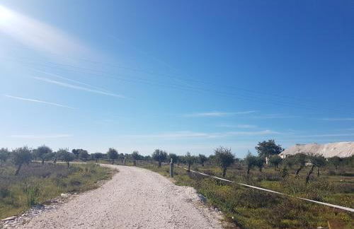 Quinta da Paz - Foto 16