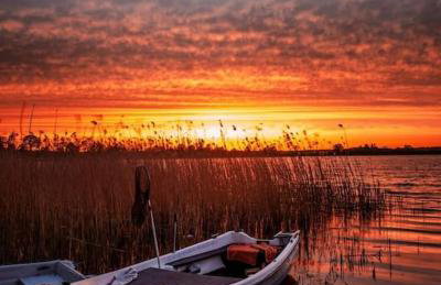 Apartament z Napoleonem w tle - Foto 43