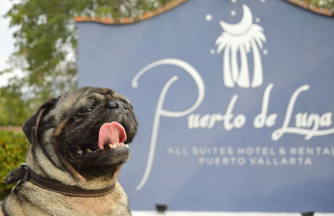 Puerto de Luna Pet Friendly & Family Suites Hotel - Photo 38
