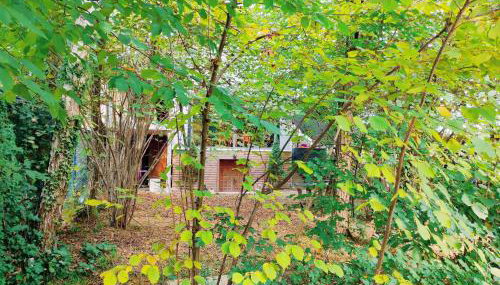 Forest Art Villa Zagreb - Foto 4, Garden view