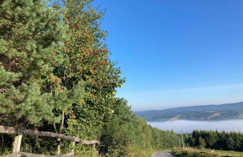 Stasiówka Gospodarstwo Agroturystyczne - Foto 33