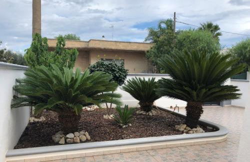 Star house - Foto 17