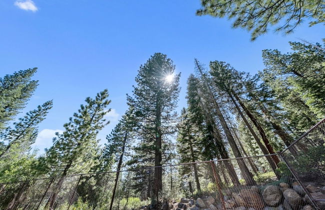 Enjoy Forest Views Retreat at Kingswood Village! - Photo 24