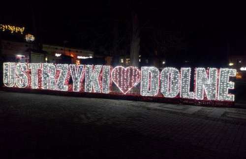 Domki Brzozówka w Bieszczadach - Foto 5