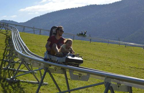 Le Chevreuil - Foto 20