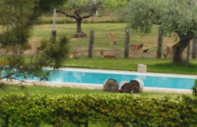 Agriturismo Torre Mannella - Foto 1