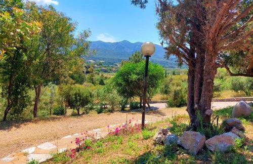 Casa Mamà - Foto 38