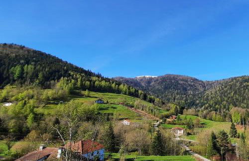 GITE DES 3 JONQUILLES - Foto 28