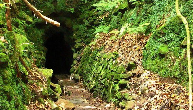Caminata a Levada do Caldeirão Verde desde Funchal - Foto 3, Paisaje verde