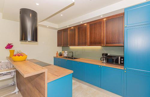 Villa Romansa Miljevci near Krka National Park - Photo 45