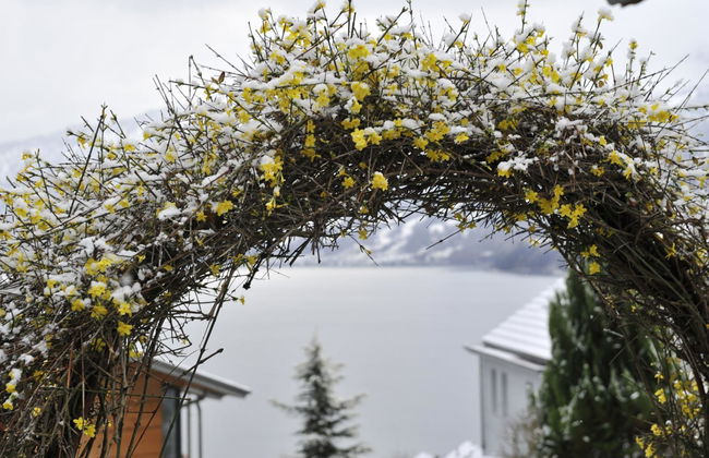 Villa Nora - Foto 23