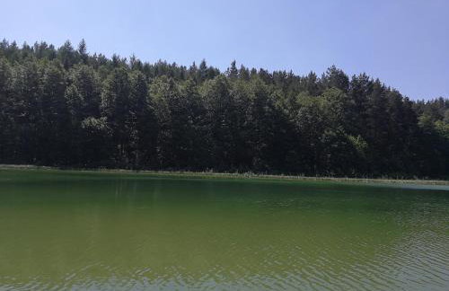 Dom pod strzecha - Foto 23