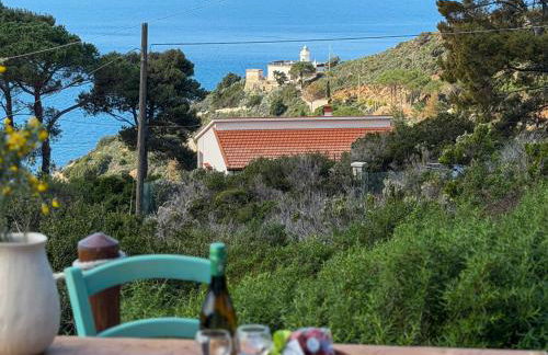 Appartamento la Lucciola - HelloElba - Foto 1