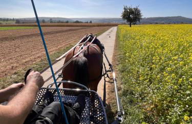 Superior Relax und Wellness Landhaus - Foto 12