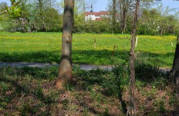 Ferienhaus am Kamskefliess - Foto 22