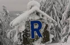 FeWo im Grünen - Foto 11