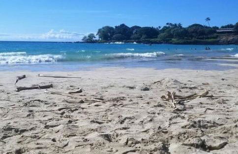 Ohana Beach Retreat at the Surf and Racquet Club - Foto 38