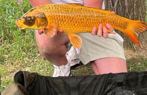 Emerald Lake House - Foto 25