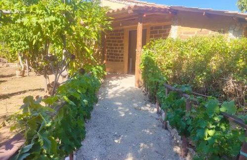 Agriturismo Casa del Contadino - Photo 10