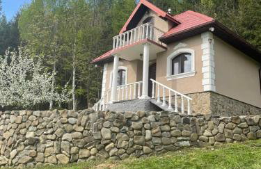 Magurska enklawa- domek letniskowy - Foto 1