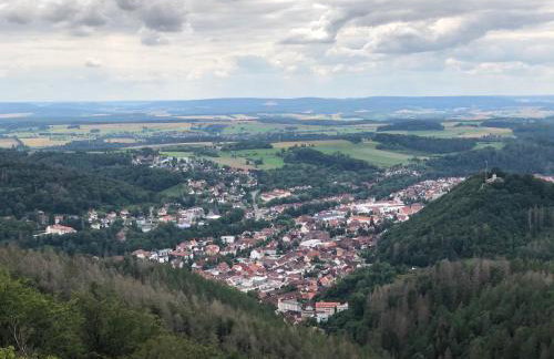 Schön Hier - im Harz - Foto 47
