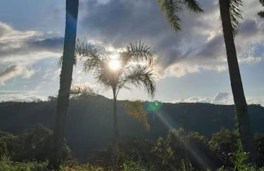 Chalé do Pinheiro em Nova Petrópolis - Foto 32