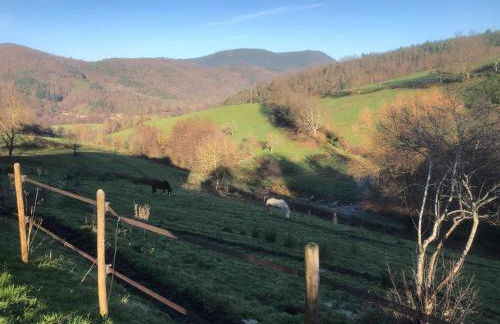 Maison pittoresque à Sainte-Croix-aux-Mines, vue sur la montagne - Foto 57