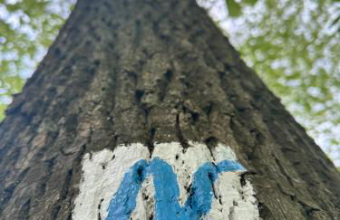 Ferienwohnung am Wald - Photo 16