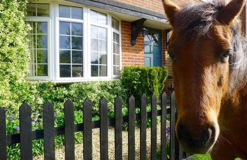 Beautiful Pilley Green Cottage - Foto 15
