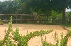 Aux 40 Écus - Biloba - Foto 4