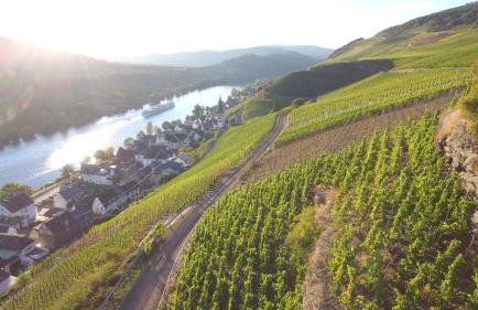 Haus Madle - Foto 29