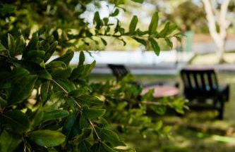 Quinta Alto da Capela - Foto 26