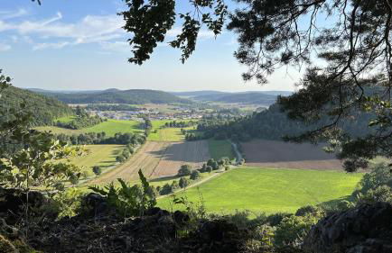 Tiny Haus ökologisch, Tiny House Velburg, Parsberg - Foto 16